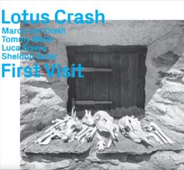 Lotus Crash 2 Cover